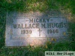 Wallace M. "mickey" Hughs