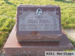 Delio Perna