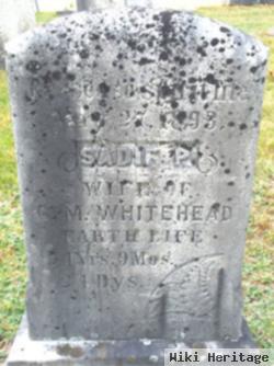 Sadie P Whitehead