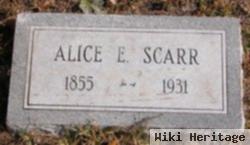 Alice Evans Scarr