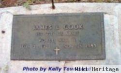 James L Cook