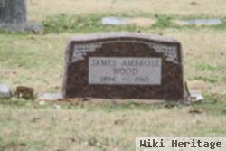 James Ambrose Wood