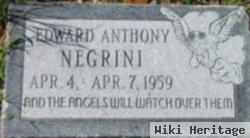 Edward Anthony Negrini