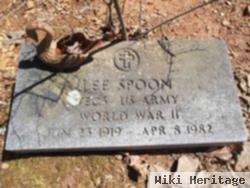 Robert Lee "lee" Spoon