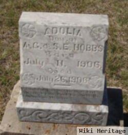 Adolia Hobbs