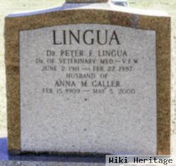 Dr Peter F. Lingua