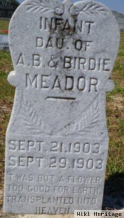 Infant Daughter Meador