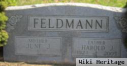 Harold J. Feldmann