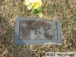 Mary Ann Green Hammock