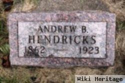 Andrew B Hendricks