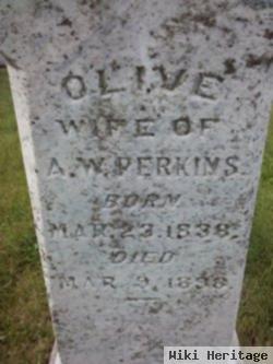 Olive Berry Perkins