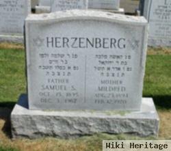 Mildred Jurist Herzenberg