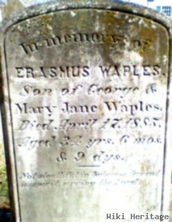 Erasmus Waples