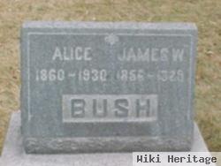 Alice Bush