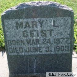 Mary L Geist