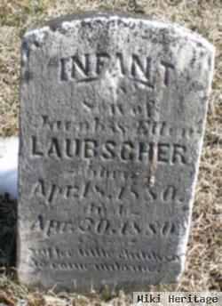 Infant Son Laubscher