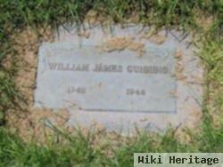 William James Gunning