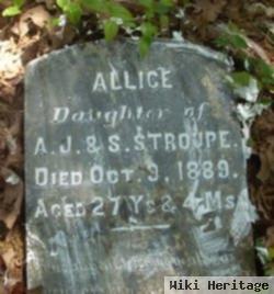 Allice Stroupe