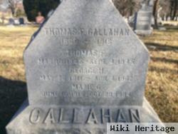 Thomas Francis Callahan