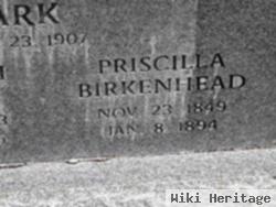 Ann Priscilla Birkenhead Stark