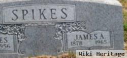 James A Spikes