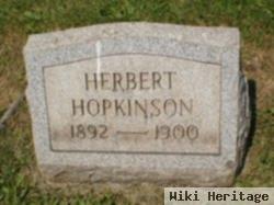 Herbert Hopkinson