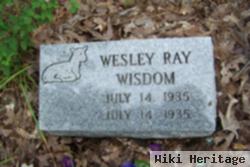 Wesley Ray Wisdom