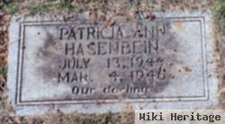 Patricia Ann Hasenbein