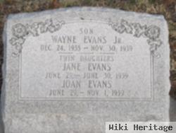 Jane Evans