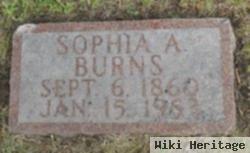 Sophia Ann Leonardy Burns