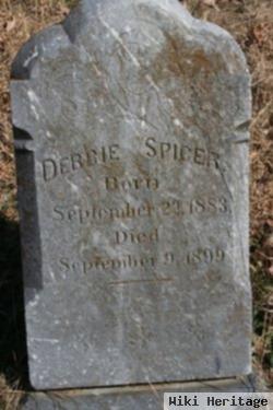 Debbie Spicer