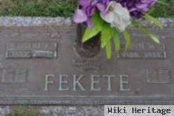 Robert F Fekete