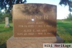 Alice E Milner