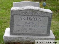 David J Skidmore