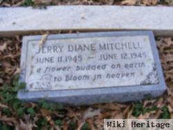 Jerry Diane Mitchell