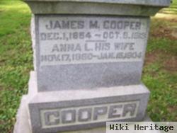 Anna L Witty Cooper