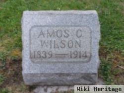 Amos C. Wilson