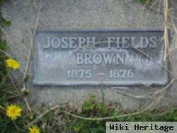 Joseph Fields Brown