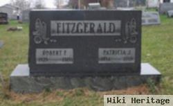 Robert F Fitzgerald