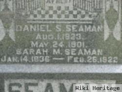 Daniel S Seaman