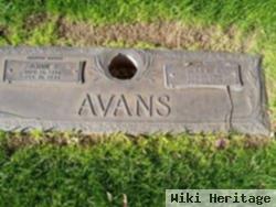 Mary E Avans