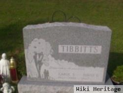 Carol S Scribner Tibbitts