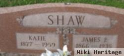 James Polk Shaw