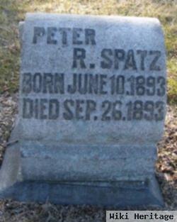 Peter R Spatz