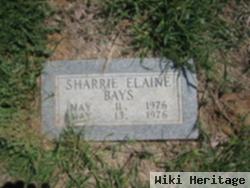 Sharrie Elaine Bays