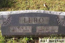 Mary F Lebo