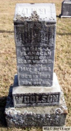 Sarah J Flanagan Woolson