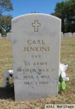 Carl Jenkins