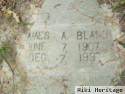 James A Bland