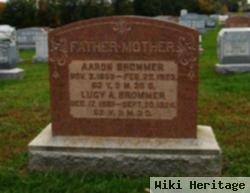 Lucy Ann Phillips Brommer